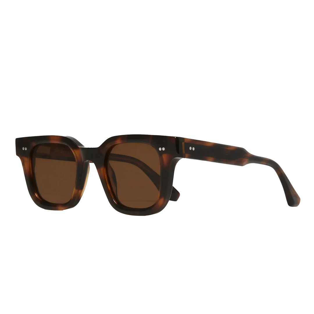 Chimi 04 Tortoise