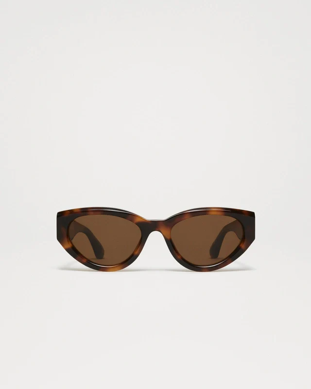 CHIMI 06 Tortoise - Image 3