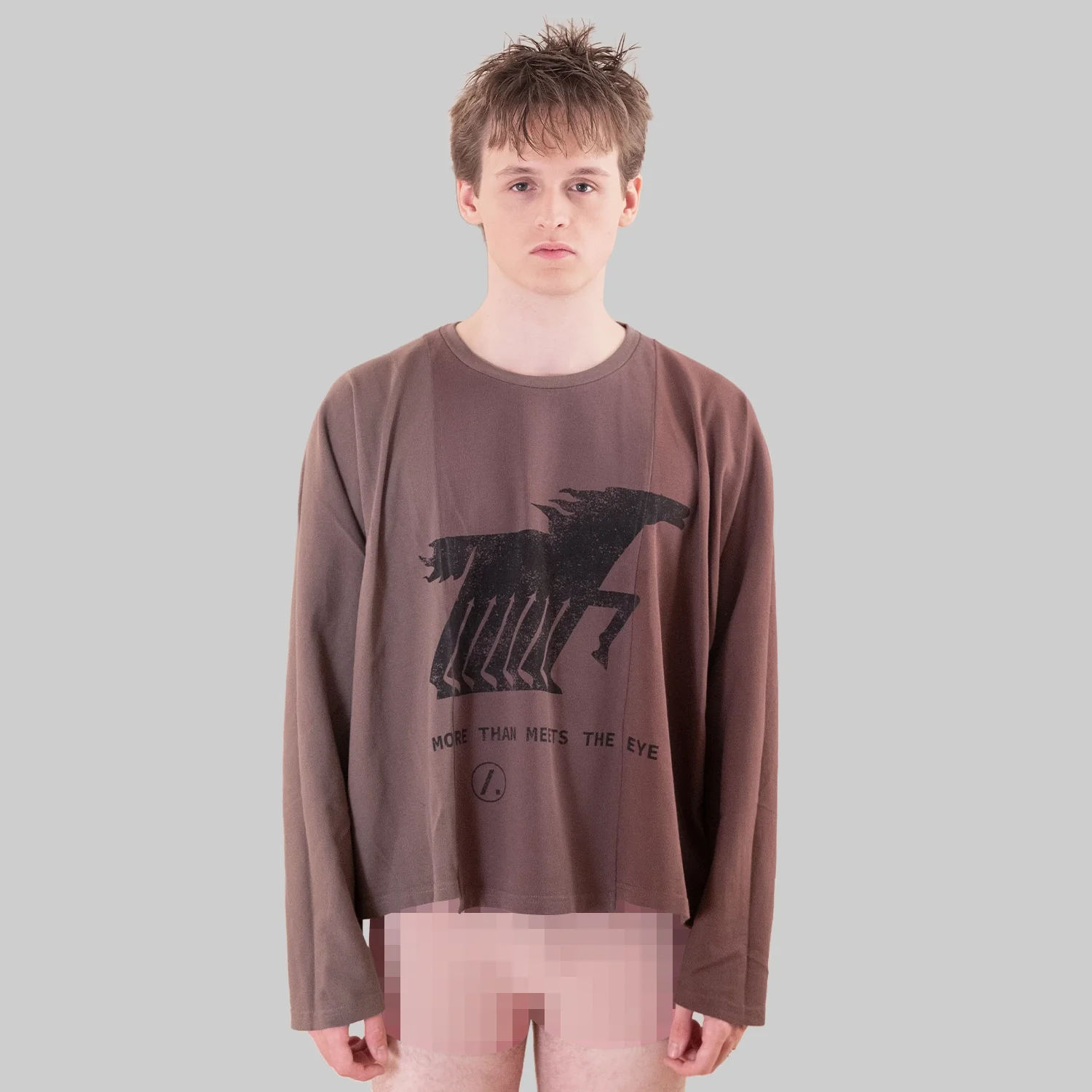 Classified Statement Longsleeve Brown - Image 5