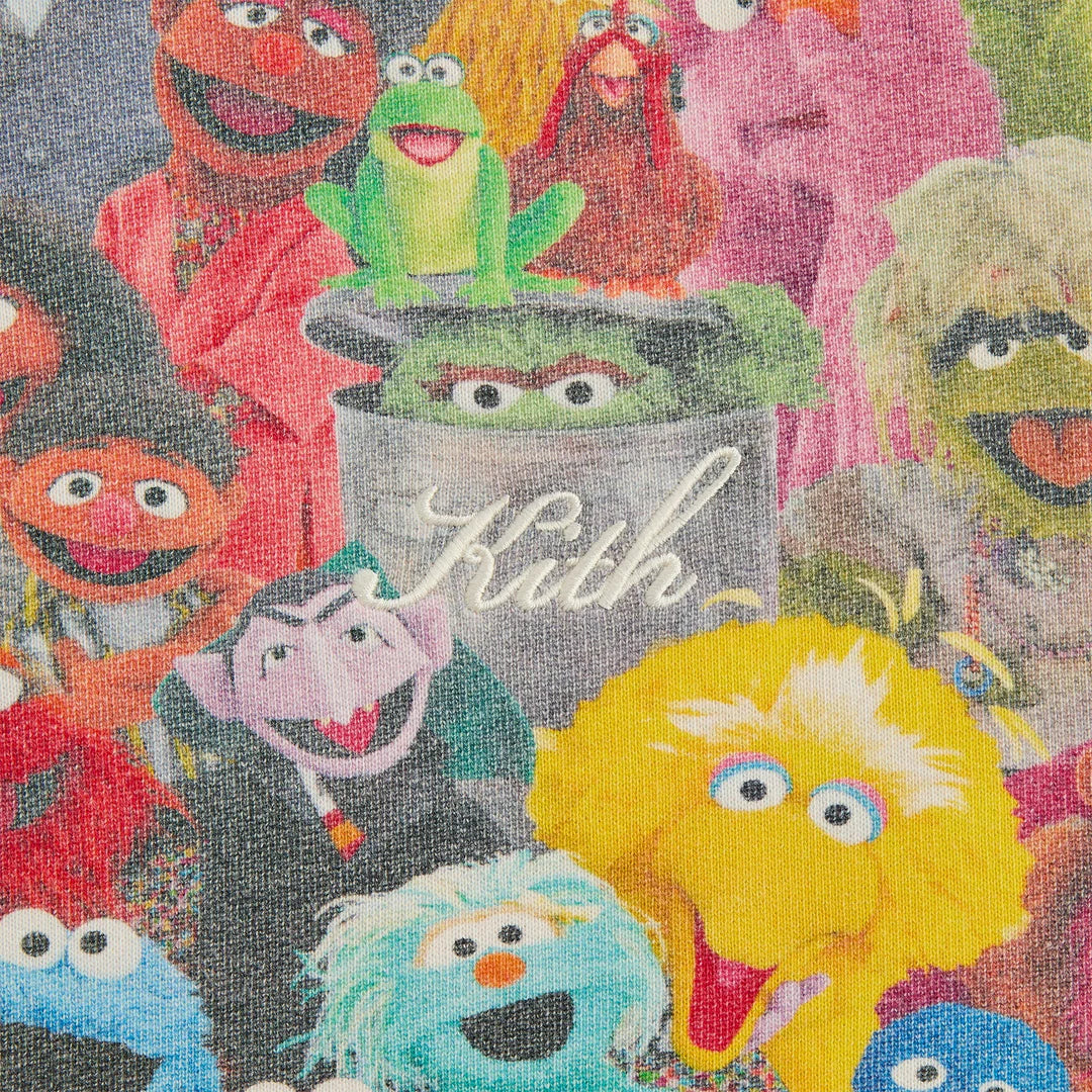 Kith x Sesame Street Family Williams III Hoodie Multi - Image 3