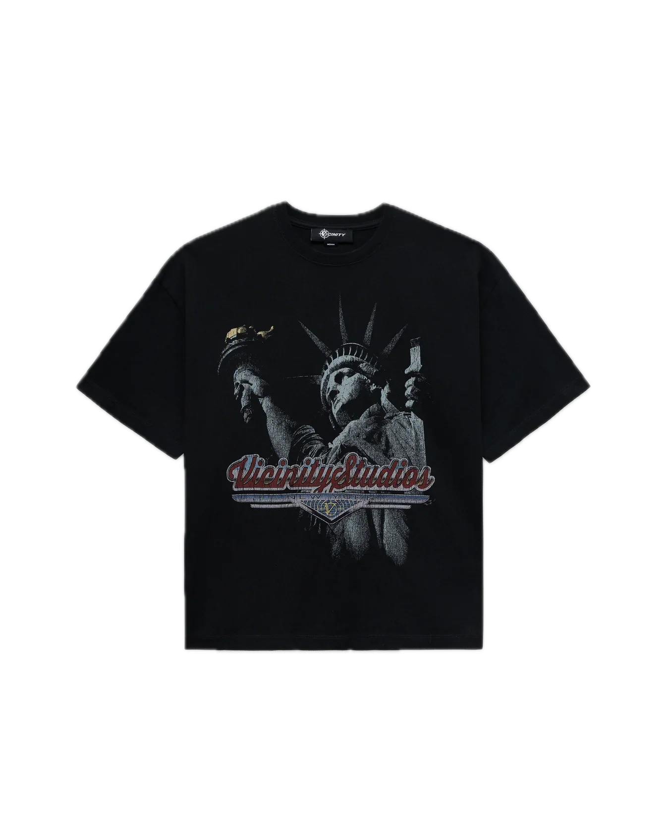 Vicinity Lady Liberty Tee Vintage Wash